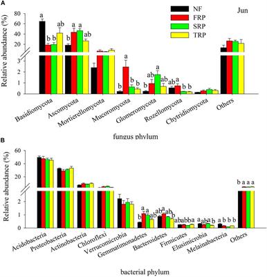 Response of Bacterial and Fungal Soil Communities to Chinese Fir (Cunninghamia lanceolate) Long-Term Monoculture Plantations